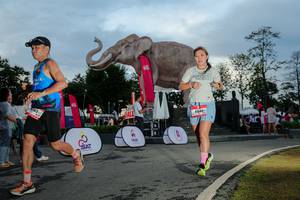 BIB: 
                            <button type="button" onclick="openModal(26529459)" class="btn btn-primary btn-sm float-right btn-popup" data-toggle="modal" data-target=".modal-high-quality">
                        <i class="fas fa-shopping-cart"></i> Add to Cart
                    </button>
                                            <button type="button" onclick="isThisMe(26529459, true)" class="btn btn-success btn-sm float-right btn-popup btn-isme hidden" data-toggle="tooltip" data-placement="bottom" title="นี่คือรูปของคุณใช่ไหม คลิกที่นี่เพื่อเอาเข้าอัลบั้ม">
                        <i class="fas fa-plus"></i> Add to album
                    </button>
                    <button type="button" onclick="isThisMe(26529459, false)" class="btn btn-warning btn-sm float-right btn-popup btn-isnotme hidden">
                        <i class="fas fa-ban"></i> Remove from album
                    </button>